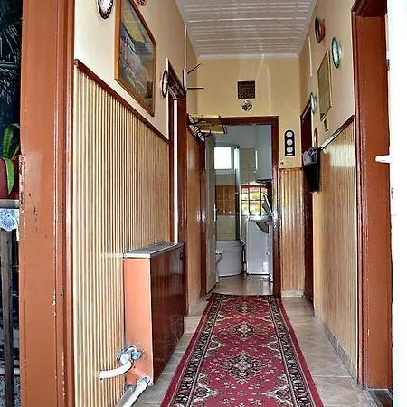 Ferenc Wellnes Csajág