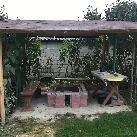 Ferenc Wellnes * Csajág