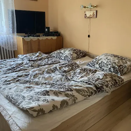 Ferenc Wellnes Apartamento *