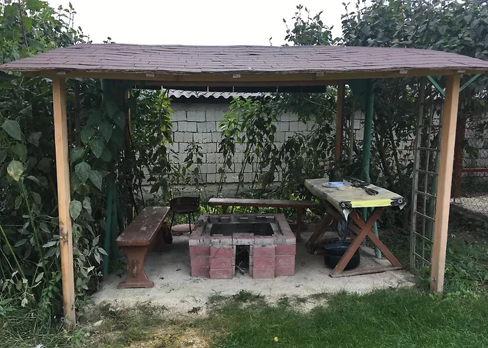 Ferenc Wellnes * Csajág