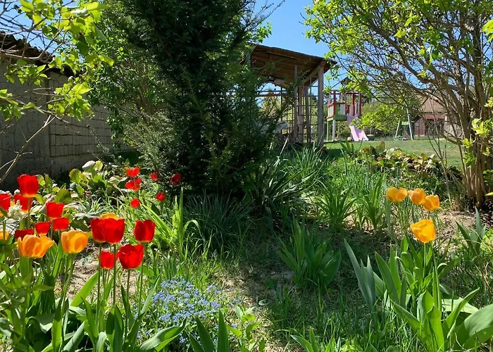 Lägenhet Ferenc Wellnes *