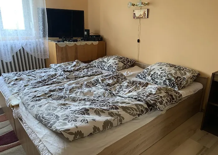 Ferenc Wellnes Lägenhet *